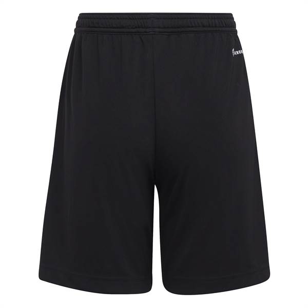 Adidas shorts - sort 